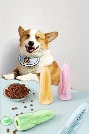 Juguete masticable para perro